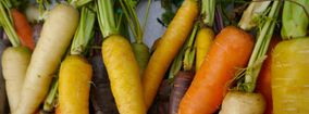 légumes locaux